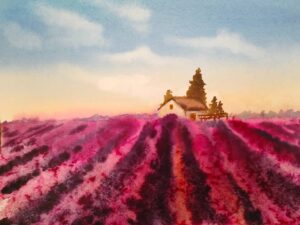 Лавандовое поле