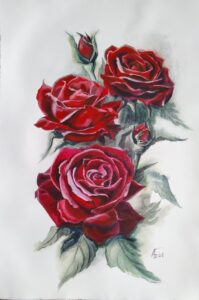 Розы